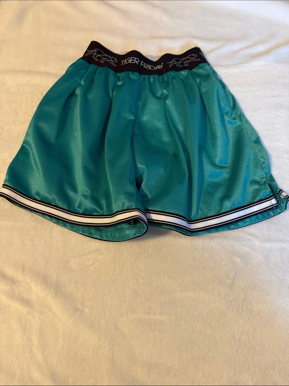 Tiger Friday Teal Athletic Mesh Shorts - size CM